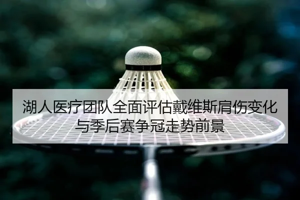 湖人医疗团队全面评估戴维斯肩伤变化与季后赛争冠走势前景